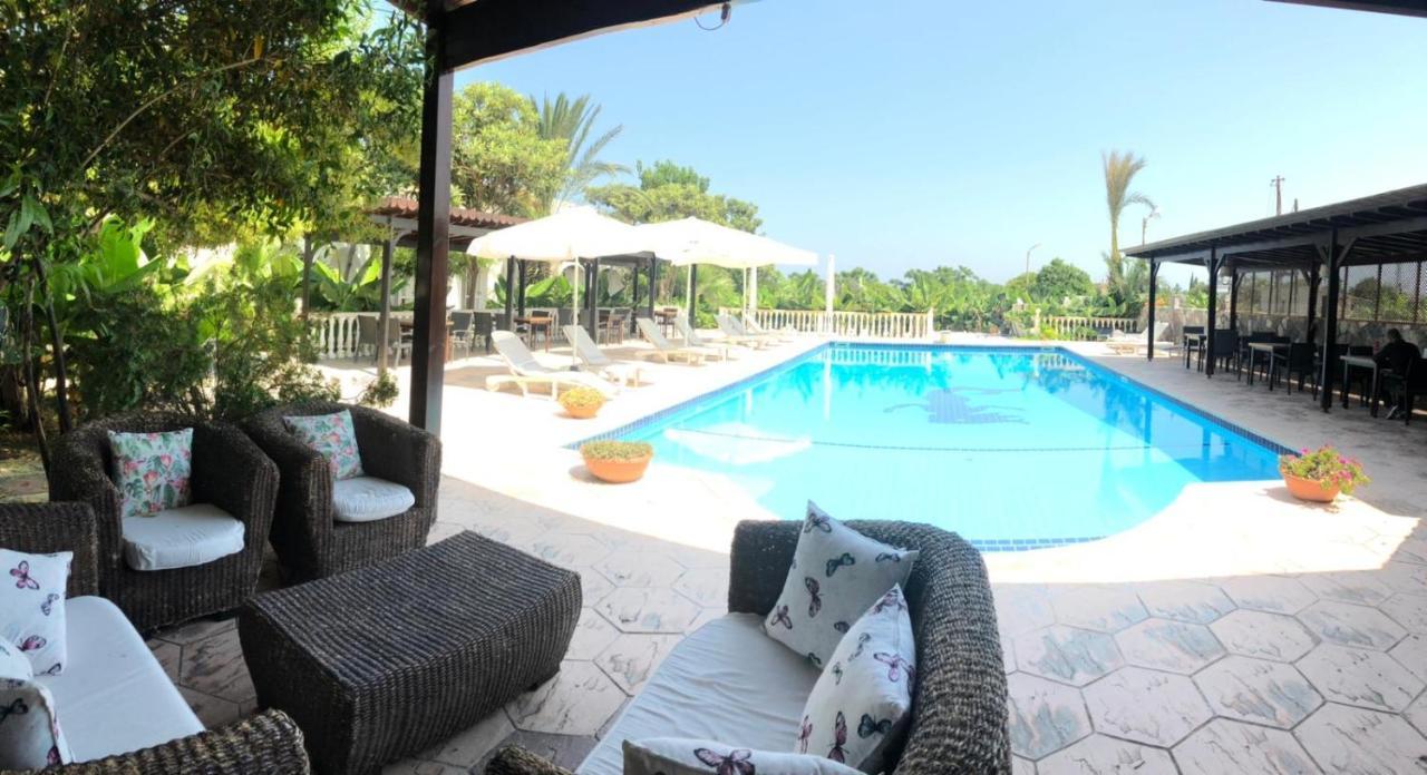 Club Alda Hotell Lapithos  Eksteriør bilde