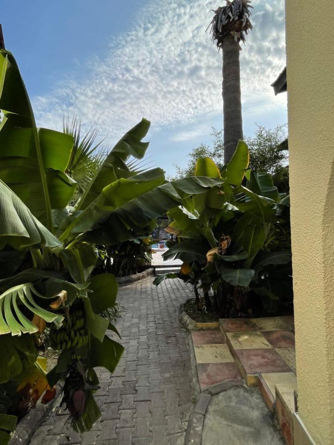 Club Alda Hotell Lapithos  Eksteriør bilde